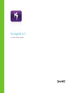 Bridgit 4.7 user`s guide