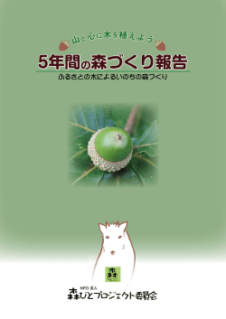 5年間の森づくり報告 - 森びとブログ ～山と心に木を植える