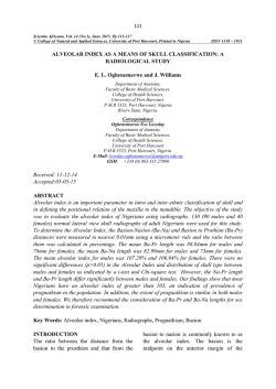 （1．9L） BLSTVB‐SRD‐040 （レッド）（送料無料 - Scientia