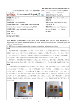 Experimental Report - J-PARC