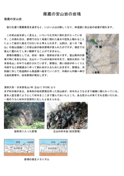 雁蔵の安山岩の岩塊