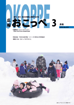PDF 4.07MB