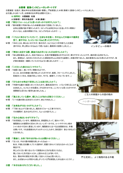 インタビューの様子