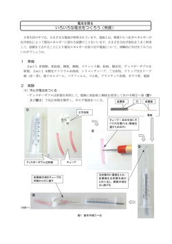 いろいろな電池をつくろう（発展）