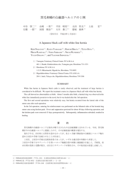 黒毛和種の白線部ヘルニアの1例