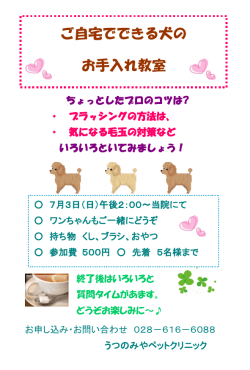 ご自宅でできる犬の お手入れ教室
