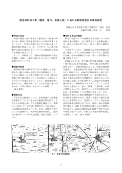 阪急神戸線3駅（園田、塚口、武庫之荘）における駅前商店街の事例研究