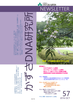 こちら - かずさDNA研究所