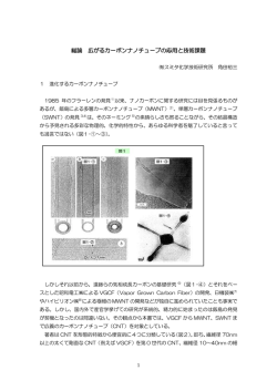 総論 広がるカーボンナノチューブの応用と技術課題