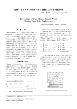 近接するパイ ドの成長 - 合体過程における相互作用