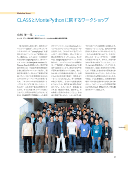 Workshop Report 小松 英一郎「CLASS とMontePythonに関するワーク