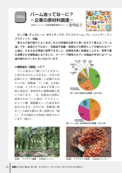 パーム油ってな∼に？ −企業の原材料調達−