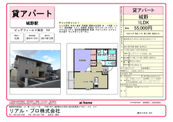 Super Visual Formade Print