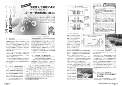4ハイブリッド伏流式 人工湿地による汚水浄化の 現地試験 1