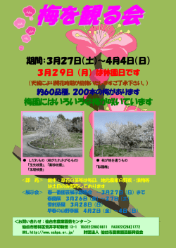 期間：3月27日（土）～4月4日（日） 梅園にはいろいろな梅が咲いています