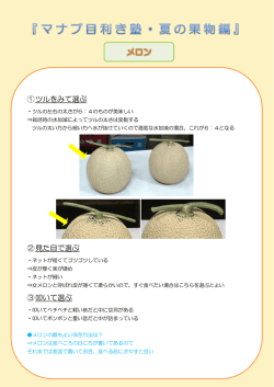 2016年8月21日放送 「夏の果物編」