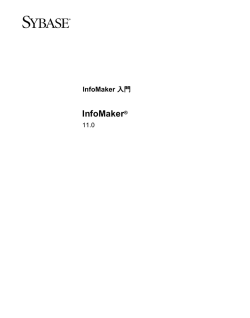 InfoMaker - PowerBuilder