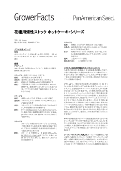 花壇用矮性ストック ホットケーキ・シリーズ
