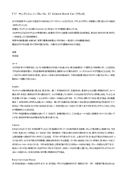 F17 サン.アントン.ノーブル.バル ST Antonin Novle Val (フランス)