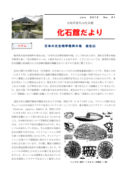 1月号 No.21 日本古生物学発祥の地 金生山