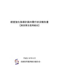 経営強化指導計画の履行状況報告書