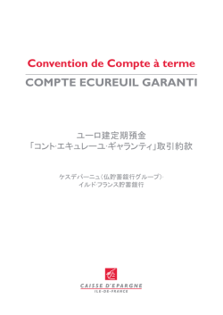 Le fonctionnement de votre compte &agrave; terme