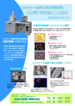 走査電子顕微鏡による拡大観察、さらにEDXで元素情報を確認。 より