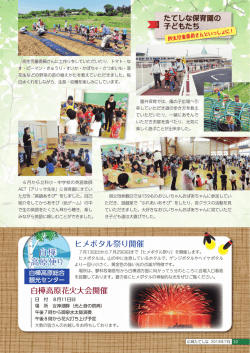 白樺 高原便り