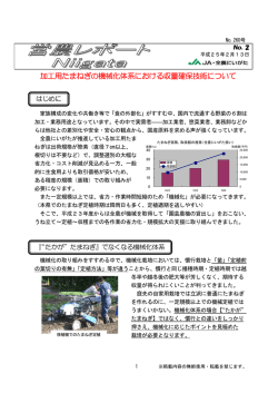加工用たまねぎの機械化体系における収量確保技術