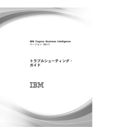 IBM Cognos Business Intelligence