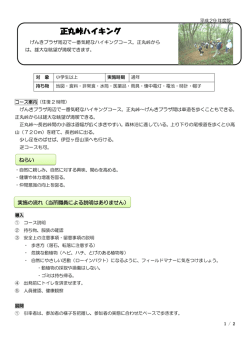 正丸峠ハイキング う