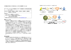 シアノバクテリアを糖質源としたアミラーゼ発現酵母