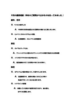 9月の園芸相談（昨年のご質問から主なものを拾ってみました。） 庭木