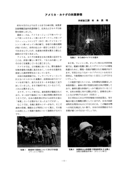 アメリカ ー カナダの林業事情