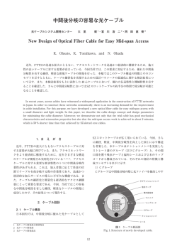 本文全体表示【PDF71BK】