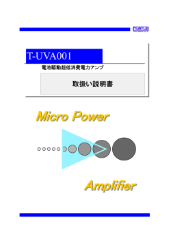 Micro Power Amplifier