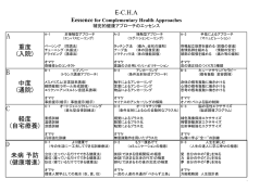 重度 - 補完的健康アプローチ