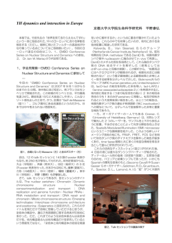 PDF277KB - 動的クロマチン構造と機能