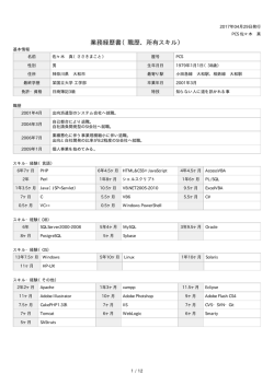 業務経歴書（職歴、所有スキル）