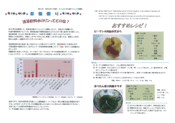 清涼飲料水のリンってどの位？
