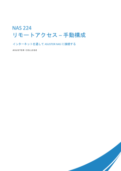 NAS 224 - インターネットに NAS の接続を手動で設定すること