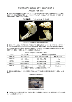 Fish Head Art Catalog -2014 (Oga`s Craft )