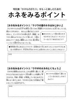をしている。