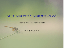 Call of DragonFly &sim; DragonFly の呼び声