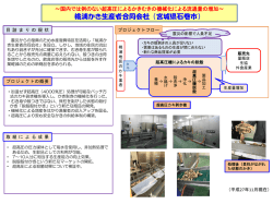 PowerPoint プレゼンテーション