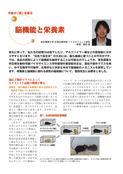 脳機能と栄養素
