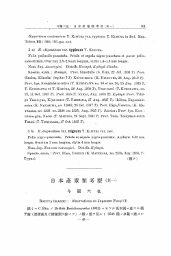 Full Text / 全文（PDF） - 植物研究雑誌 THE JOURNAL OF JAPANESE