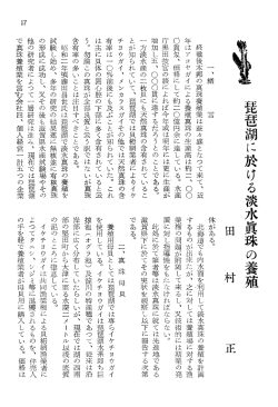 琵琶湖に於ける淡水真珠の養殖