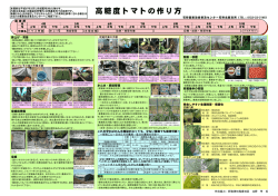 高糖度トマトの作り方（H27年3月発行）