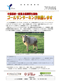 ゴールデンターキン来園 - 公益財団法人 横浜市緑の協会